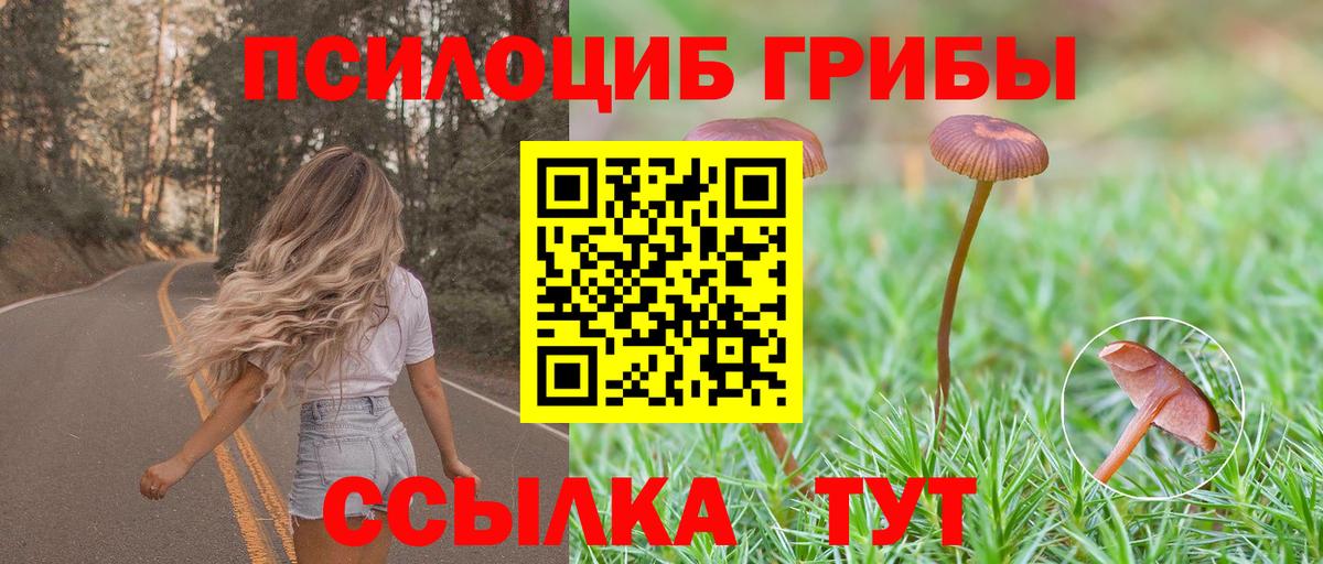 Галлюциногенные грибы Magic Shrooms  Псилоцибиновые грибы мухоморы  Владикавказ 