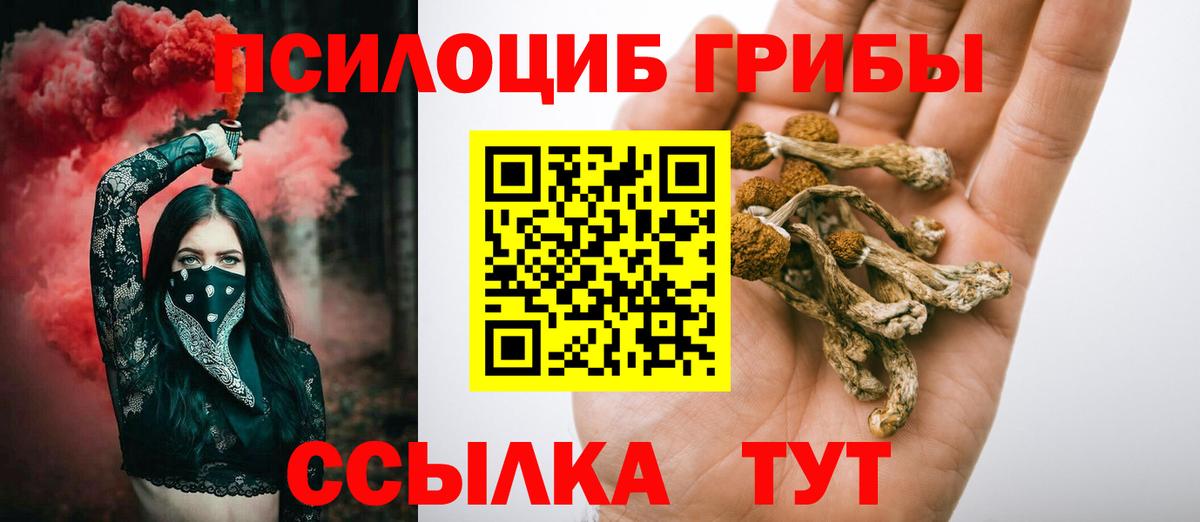 Псилоцибиновые грибы мицелий Владикавказ