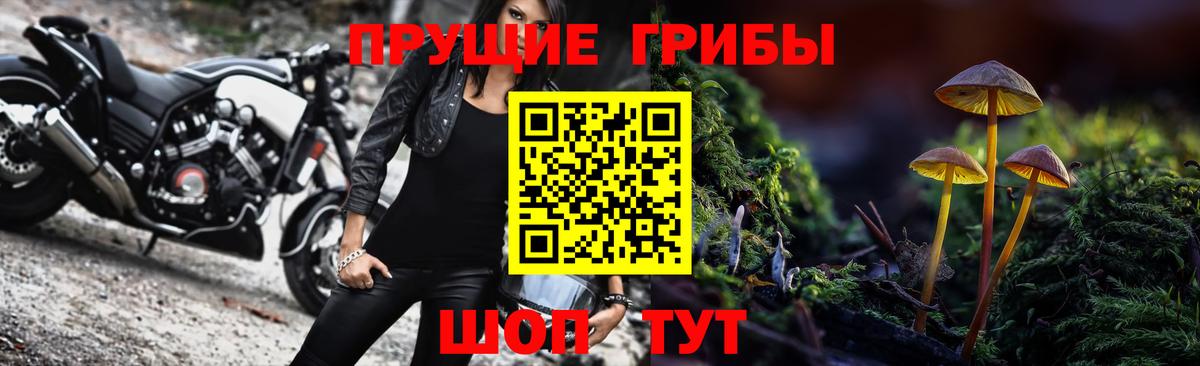 Псилоцибиновые грибы Cubensis  Псилоцибиновые грибы Psilocybe  Владикавказ  Вход с VPN 